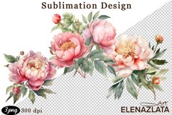 Watercolor Pink Peonies Flowers Clipart Product Image 1
