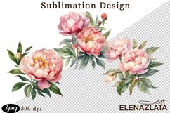 Watercolor Pink Peonies Flowers Clipart Product Image 1