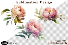 Watercolor Pink Peonies Flowers Clipart Product Image 1
