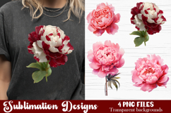 Watercolor Pink Peonies Flowers Clipart Product Image 1