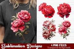 Watercolor Pink Peonies Flowers Clipart Product Image 1