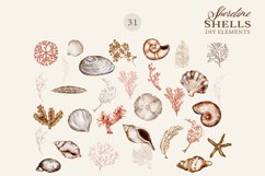 Watercolor Seashell Clipart Collection Product Image 6