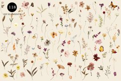 Autumn Wildflowers Clipart Alphabet &amp; Patterns Product Image 5