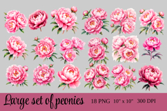 Watercolor Peony Clipart Pink Flower PNG Set Product Image 3