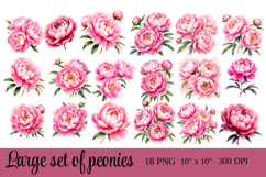 Watercolor Peony Clipart Pink Flower PNG Set Product Image 5
