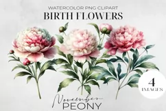 Birth Month Flowers Clipart, November Peony PNG. Product Image 1