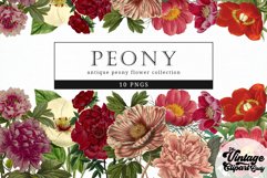 Peony Vintage Floral Botanical Clip Art Product Image 1