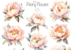 Peony Flowers clipart Product Image 7