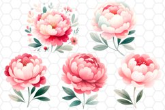 Peony Cliparts Flower Sublimation Bundle