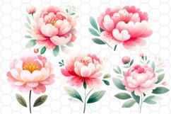 Peony Cliparts Flower Sublimation Bundle