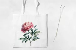 Birth Month Flowers Clipart, November Peony PNG. Product Image 3