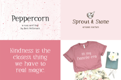 Neat Handwriting Font Mini Bundle Product Image 5