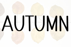 Perfect Lemonade Product Image 6