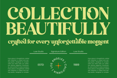 Perfect Masters - Decorative Display Serif Product Image 8