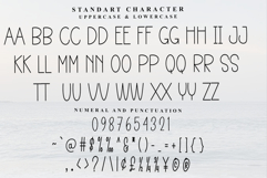 Perfect Minimalist Product Image 5