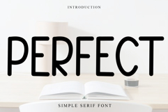 Perfect Product Image 1