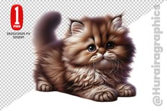 Persian Cat Clipart - PNG File Product Image 1