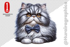 Persian Cat Clipart - PNG File Product Image 1