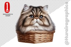 Persian Cat Clipart - PNG File Product Image 1