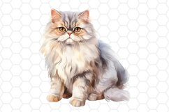 Persian Cat Watercolor Clipart Cat Clipart PNG