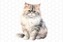 Persian Cat Watercolor Clipart Cat Clipart PNG