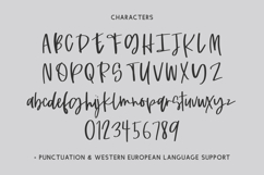 Persnickety Script Product Image 10