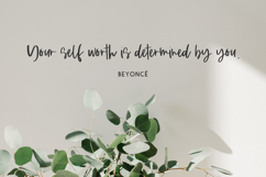 Persnickety Script Product Image 4