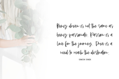 Persnickety Script Product Image 9