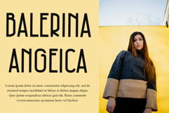 Create Product Image 3