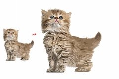 Pet Abstract Paint Photoshop Action Product Image 6