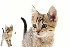 Pet Abstract Paint Photoshop Action Product Image 8