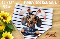 Easter dog bandana sublimation bundle Quote Bad bunny PNG Product Image 6