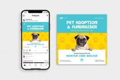 Pet Care vol.1 - Flyer, Poster, Instagram Post RB Product Image 2