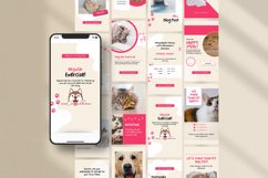 Pet Engagement Booster Instagram Story Template Product Image 6