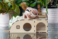 Pet house - laser cut files, house for small pets Product Image 3
