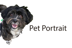 Dog Breed Watercolor clipart Product Image 1