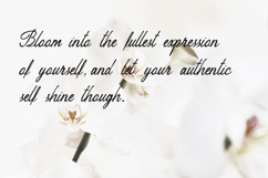 Peuttya Deffunte Sophisticated Classy Script Font Product Image 3