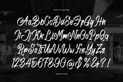 Phantom Asylum | Graffiti Script Font Product Image 10