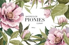Peonies PNG Flower elements Watercolor Clipart Product Image 1