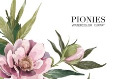 Peonies PNG Flower elements Watercolor Clipart Product Image 2