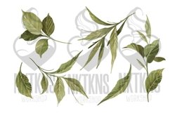 Peonies PNG Flower elements Watercolor Clipart Product Image 3
