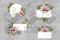 Peonies PNG Flower elements Watercolor Clipart Product Image 6