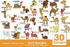 Camel Riding is Fun SVG Bundle Product Image 1