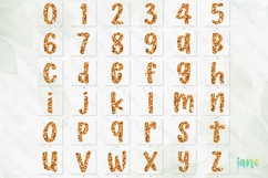 Fall Preppy Fall Floral Alphabet Clipart Product Image 9