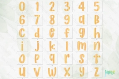 Fall Preppy Fall Floral Alphabet Clipart Product Image 12