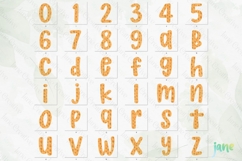 Fall Preppy Fall Floral Alphabet Clipart Product Image 10