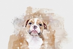 Photoshop Editable Photo Effect Product Image 4