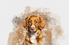 Photoshop Editable Photo Effect Product Image 8