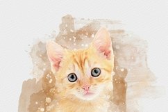 Photoshop Editable Photo Effect Product Image 14