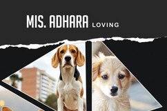 Psd Collage Photo Frame Template Product Image 3